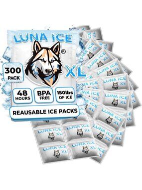 XL Dry Ice Packs for Shipping - Long Lasting, BPA Free, 24+ Hour Freeze - 300